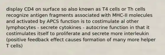 display CD4 on surface so also known as T4 cells or Th cells recognize antigen fragments associated with MHC-II molecules and activated by APCS function is to costimulate al other lymphocytes - secrete cytokines - autocrine function in that it costimulates itself to proliferate and secrete more interleukin (positive feedback effect causes formation of many more helper T cells)