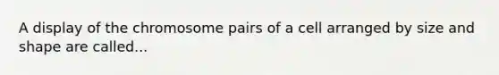 A display of the chromosome pairs of a cell arranged by size and shape are called...