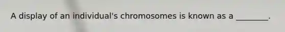 A display of an individual's chromosomes is known as a ________.