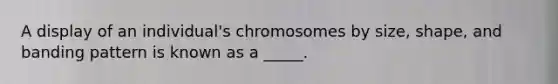 A display of an individual's chromosomes by size, shape, and banding pattern is known as a _____.