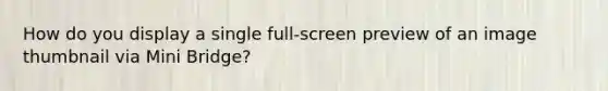 How do you display a single full-screen preview of an image thumbnail via Mini Bridge?