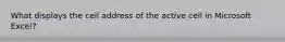 What displays the cell address of the active cell in Microsoft Excel?