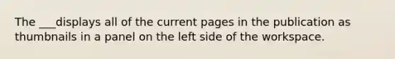 The ___displays all of the current pages in the publication as thumbnails in a panel on the left side of the workspace.