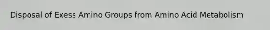 Disposal of Exess Amino Groups from Amino Acid Metabolism