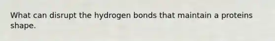 What can disrupt the hydrogen bonds that maintain a proteins shape.