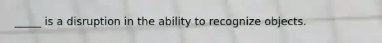 _____ is a disruption in the ability to recognize objects.