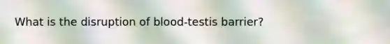 What is the disruption of blood-testis barrier?