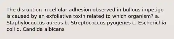 The disruption in cellular adhesion observed in bullous impetigo is caused by an exfoliative toxin related to which organism? a. Staphylococcus aureus b. Streptococcus pyogenes c. Escherichia coli d. Candida albicans