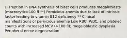 Disruption in DNA synthesis of blast cells produces megaloblasts (macrocytic>100 fl **) Pernicious anemia due to lack of intrinsic factor leading to vitamin B12 deficiency ** Clinical manifestations of pernicious anemia Low RBC, WBC, and platelet counts with increased MCV (>100 fl); megaloblastic dysplasia Peripheral nerve degeneration