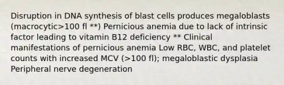 Disruption in DNA synthesis of blast cells produces megaloblasts (macrocytic>100 fl **) Pernicious anemia due to lack of intrinsic factor leading to vitamin B12 deficiency ** Clinical manifestations of pernicious anemia Low RBC, WBC, and platelet counts with increased MCV (>100 fl); megaloblastic dysplasia Peripheral nerve degeneration