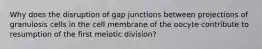 Why does the disruption of gap junctions between projections of granulosis cells in the cell membrane of the oocyte contribute to resumption of the first meiotic division?