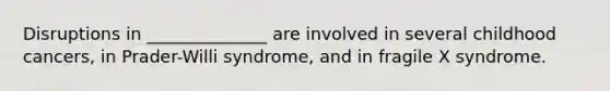 Disruptions in ______________ are involved in several childhood cancers, in Prader-Willi syndrome, and in fragile X syndrome.