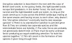 Disruptive selection is described in the text with the case of British land snails. In the grassy fields, the light-banded snails escape bird predators. In the darker forest, the dark snails survive and the light-banded snails are eaten. As long as the snails continue to cruise across the British landscape mating at the same season and having access to each other, why doesn't this "disruptive selection" eventually lead to two separate species? A.There is no reproductive isolation to prevent gene flow. B.They are already two separate species and the intermediate forms are hybrids. C.The color forms are probably not genetically determined. D.There must be some unknown factor producing an equal stabilizing selection "to hold the species together." E.This will result in the formation of two species if given long enough time.