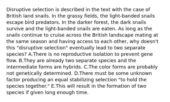 Disruptive selection is described in the text with the case of British land snails. In the grassy fields, the light-banded snails escape bird predators. In the darker forest, the dark snails survive and the light-banded snails are eaten. As long as the snails continue to cruise across the British landscape mating at the same season and having access to each other, why doesn't this "disruptive selection" eventually lead to two separate species? A.There is no reproductive isolation to prevent gene flow. B.They are already two separate species and the intermediate forms are hybrids. C.The color forms are probably not genetically determined. D.There must be some unknown factor producing an equal stabilizing selection "to hold the species together." E.This will result in the formation of two species if given long enough time.