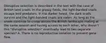 Disruptive selection is described in the text with the case of British land snails. In the grassy fields, the light-banded snails escape bird predators. In the darker forest, the dark snails survive and the light-banded snails are eaten. As long as the snails continue to cruise across the British landscape mating at the same season and having access to each other, why doesn't this "disruptive selection" eventually lead to two separate species? A. There is no reproductive isolation to prevent gene flow.