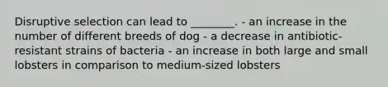 Disruptive selection can lead to ________. - an increase in the number of different breeds of dog - a decrease in antibiotic-resistant strains of bacteria - an increase in both large and small lobsters in comparison to medium-sized lobsters