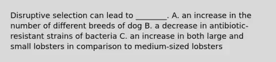 Disruptive selection can lead to ________. A. an increase in the number of different breeds of dog B. a decrease in antibiotic-resistant strains of bacteria C. an increase in both large and small lobsters in comparison to medium-sized lobsters