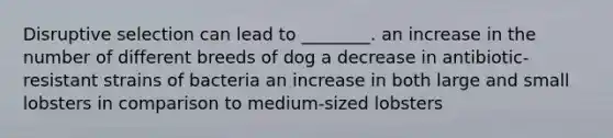 Disruptive selection can lead to ________. an increase in the number of different breeds of dog a decrease in antibiotic-resistant strains of bacteria an increase in both large and small lobsters in comparison to medium-sized lobsters