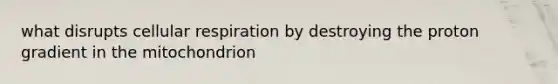 what disrupts cellular respiration by destroying the proton gradient in the mitochondrion