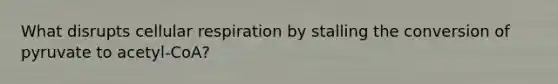 What disrupts cellular respiration by stalling the conversion of pyruvate to acetyl-CoA?