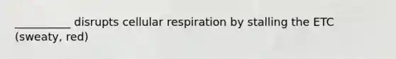 __________ disrupts cellular respiration by stalling the ETC (sweaty, red)