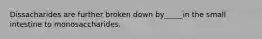 Dissacharides are further broken down by_____in the small intestine to monosaccharides.