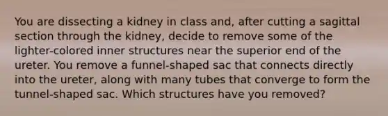 You are dissecting a kidney in class and, after cutting a sagittal section through the kidney, decide to remove some of the lighter-colored inner structures near the superior end of the ureter. You remove a funnel-shaped sac that connects directly into the ureter, along with many tubes that converge to form the tunnel-shaped sac. Which structures have you removed?