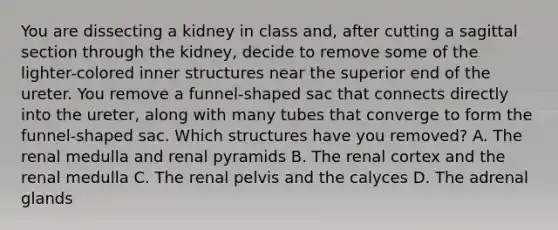 You are dissecting a kidney in class and, after cutting a sagittal section through the kidney, decide to remove some of the lighter-colored inner structures near the superior end of the ureter. You remove a funnel-shaped sac that connects directly into the ureter, along with many tubes that converge to form the funnel-shaped sac. Which structures have you removed? A. The renal medulla and renal pyramids B. The renal cortex and the renal medulla C. The renal pelvis and the calyces D. The adrenal glands