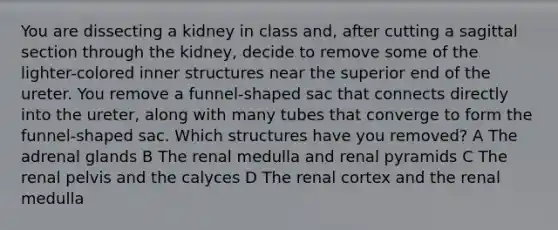 You are dissecting a kidney in class and, after cutting a sagittal section through the kidney, decide to remove some of the lighter-colored inner structures near the superior end of the ureter. You remove a funnel-shaped sac that connects directly into the ureter, along with many tubes that converge to form the funnel-shaped sac. Which structures have you removed? A The adrenal glands B The renal medulla and renal pyramids C The renal pelvis and the calyces D The renal cortex and the renal medulla