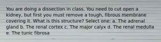 You are doing a dissection in class. You need to cut open a kidney, but first you must remove a tough, fibrous membrane covering it. What is this structure? Select one: a. The adrenal gland b. The renal cortex c. The major calyx d. The renal medulla e. The tunic fibrosa
