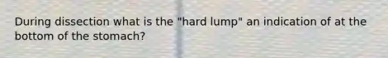 During dissection what is the "hard lump" an indication of at the bottom of <a href='https://www.questionai.com/knowledge/kLccSGjkt8-the-stomach' class='anchor-knowledge'>the stomach</a>?