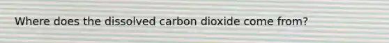 Where does the dissolved carbon dioxide come from?