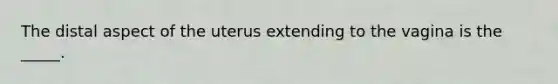 The distal aspect of the uterus extending to the vagina is the _____.