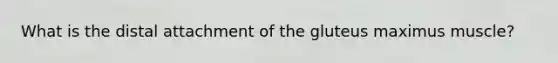 What is the distal attachment of the gluteus maximus muscle?