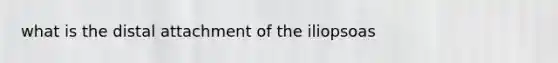 what is the distal attachment of the iliopsoas