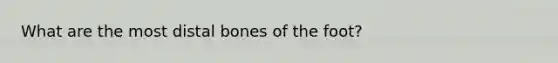 What are the most distal bones of the foot?