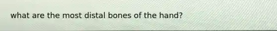 what are the most distal bones of the hand?