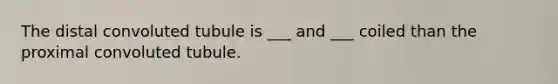 The distal convoluted tubule is ___ and ___ coiled than the proximal convoluted tubule.