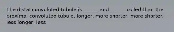 The distal convoluted tubule is ______ and ______ coiled than the proximal convoluted tubule. longer, more shorter, more shorter, less longer, less