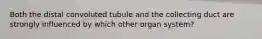 Both the distal convoluted tubule and the collecting duct are strongly influenced by which other organ system?