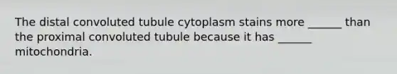 The distal convoluted tubule cytoplasm stains more ______ than the proximal convoluted tubule because it has ______ mitochondria.