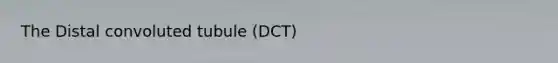 The Distal convoluted tubule (DCT)