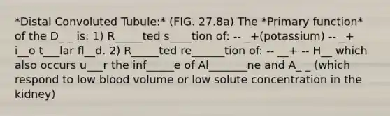 *Distal Convoluted Tubule:* (FIG. 27.8a) The *Primary function* of the D_ _ is: 1) R_____ted s____tion of: -- _+(potassium) -- _+ i__o t___lar fl__d. 2) R_____ted re______tion of: -- __+ -- H__ which also occurs u___r the inf_____e of Al_______ne and A_ _ (which respond to low blood volume or low solute concentration in the kidney)