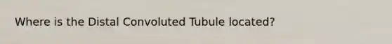 Where is the Distal Convoluted Tubule located?