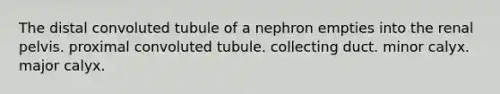 The distal convoluted tubule of a nephron empties into the renal pelvis. proximal convoluted tubule. collecting duct. minor calyx. major calyx.