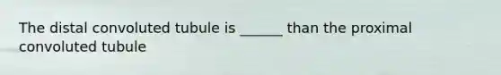 The distal convoluted tubule is ______ than the proximal convoluted tubule