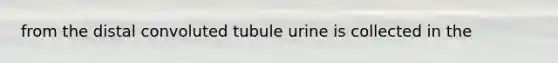 from the distal convoluted tubule urine is collected in the