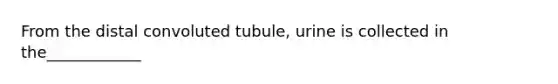 From the distal convoluted tubule, urine is collected in the____________