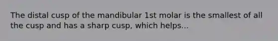 The distal cusp of the mandibular 1st molar is the smallest of all the cusp and has a sharp cusp, which helps...