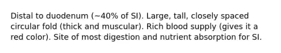 Distal to duodenum (~40% of SI). Large, tall, closely spaced circular fold (thick and muscular). Rich blood supply (gives it a red color). Site of most digestion and nutrient absorption for SI.